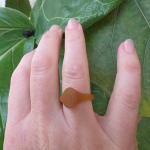Hand with a wooden ring on a leafy background